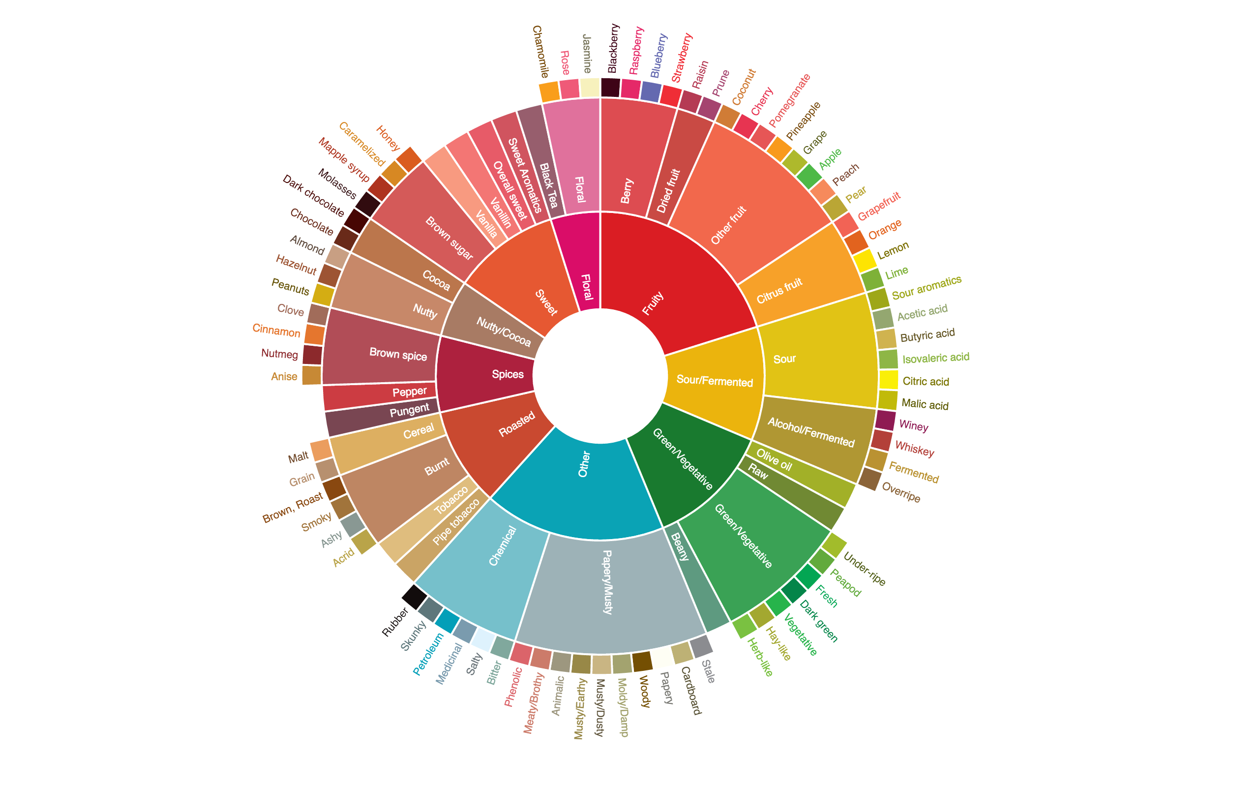 Coffee flavor wheel showing broad categories at the center and more specific tasting notes around the edge.